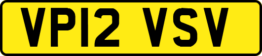 VP12VSV