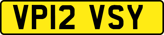 VP12VSY