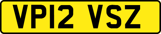 VP12VSZ