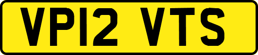 VP12VTS
