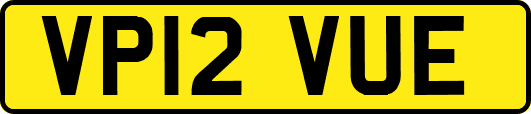 VP12VUE