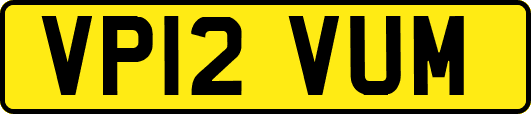 VP12VUM