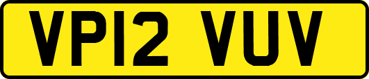 VP12VUV