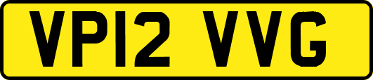 VP12VVG