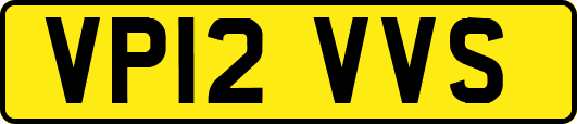 VP12VVS