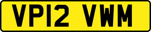 VP12VWM