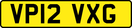 VP12VXG