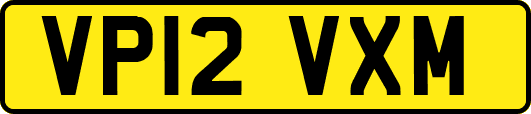 VP12VXM