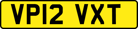 VP12VXT