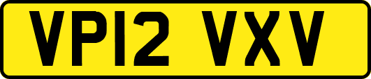 VP12VXV