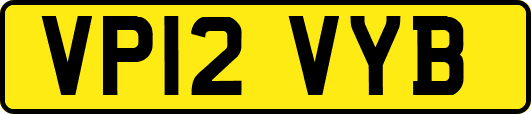 VP12VYB