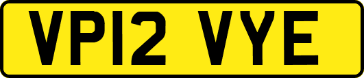 VP12VYE