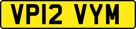 VP12VYM