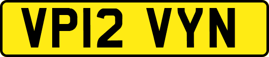 VP12VYN