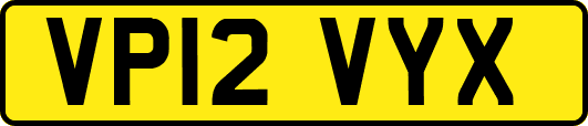 VP12VYX