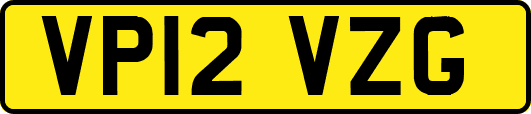 VP12VZG