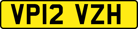 VP12VZH