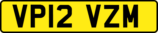 VP12VZM