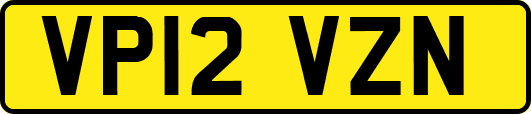 VP12VZN