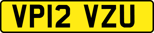 VP12VZU