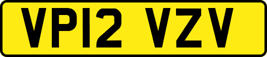 VP12VZV