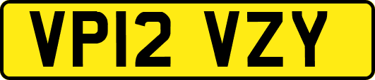 VP12VZY