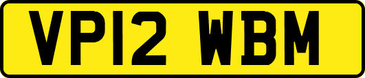 VP12WBM