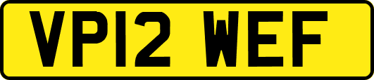 VP12WEF