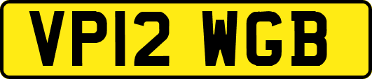 VP12WGB