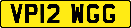 VP12WGG