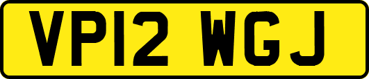VP12WGJ