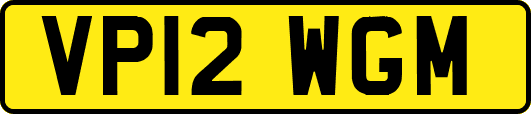 VP12WGM