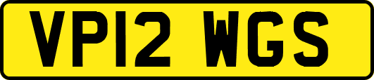 VP12WGS