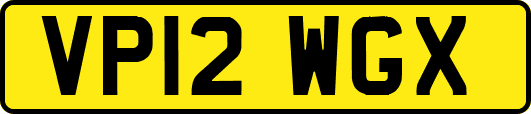 VP12WGX