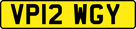VP12WGY