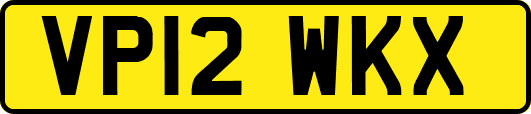 VP12WKX