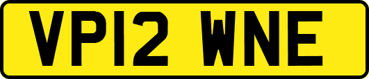 VP12WNE
