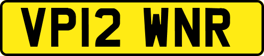 VP12WNR