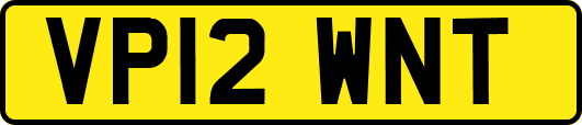 VP12WNT