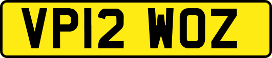 VP12WOZ