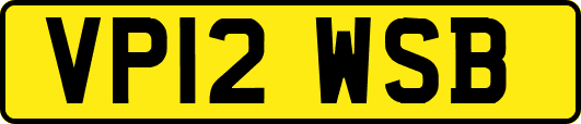 VP12WSB