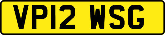 VP12WSG