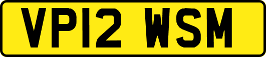 VP12WSM