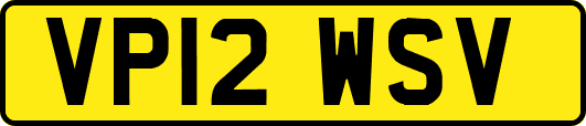 VP12WSV