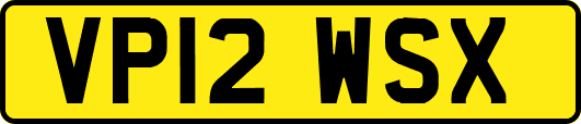 VP12WSX