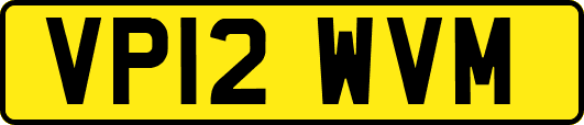 VP12WVM