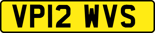 VP12WVS