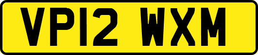 VP12WXM