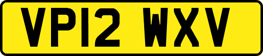 VP12WXV