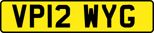 VP12WYG